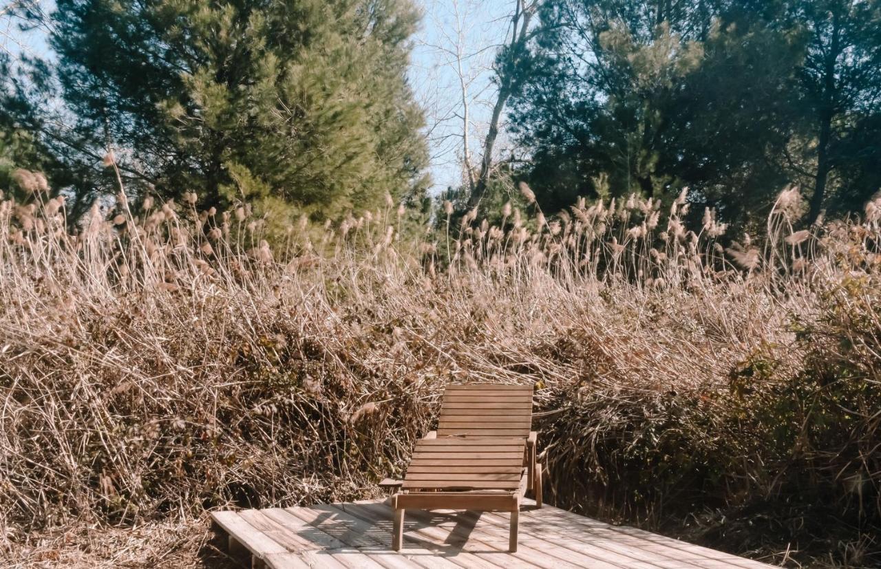 Cooltainer Retreat: Sustainable Coastal Forest Tiny House Near Barcelona Castelldefels Buitenkant foto